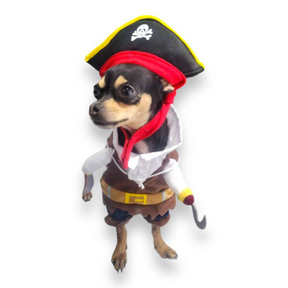 Disfraz Pirata Halloween S - AniMALL