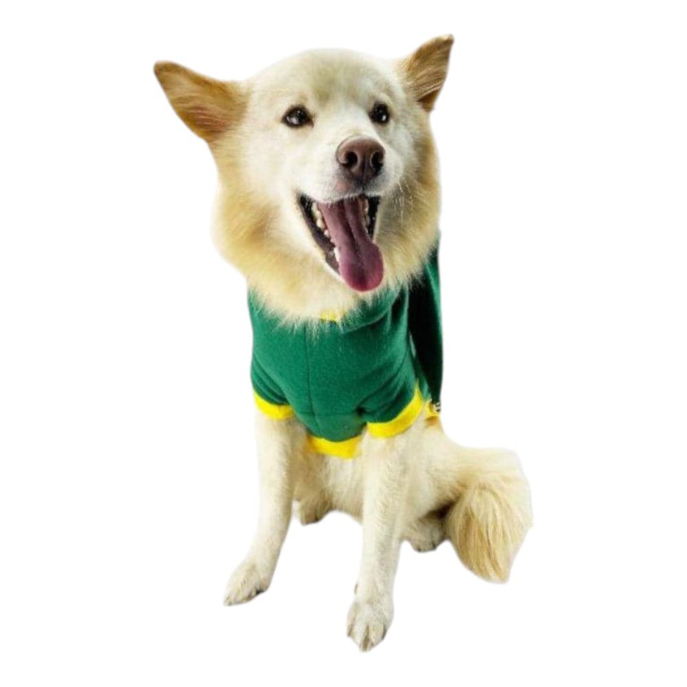 Disfraz Navidad Duende Talla S - AniMALL