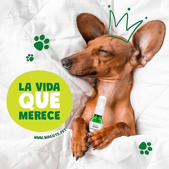 Waggys Olive Aceite Relajante para Perro 750 Mg - AniMALL