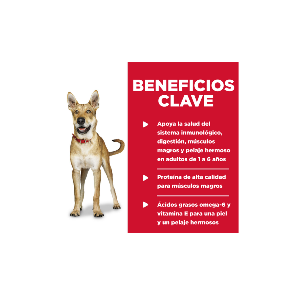 12 Latas Hill's Science Diet Comida para Perro Adulto Sabor Carne de Res y Cebada, 370g