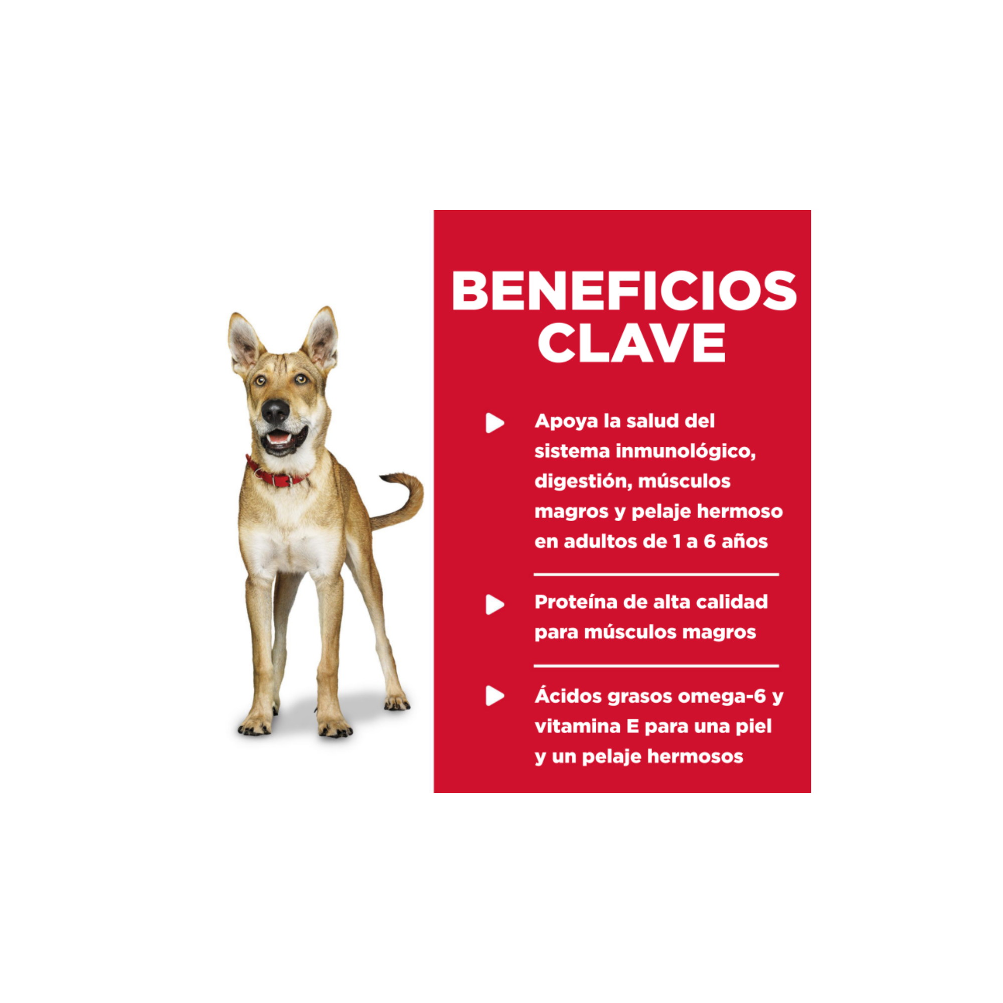 12 Latas Hill's Science Diet Comida para Perro Adulto Sabor Carne de Res y Cebada, 370g