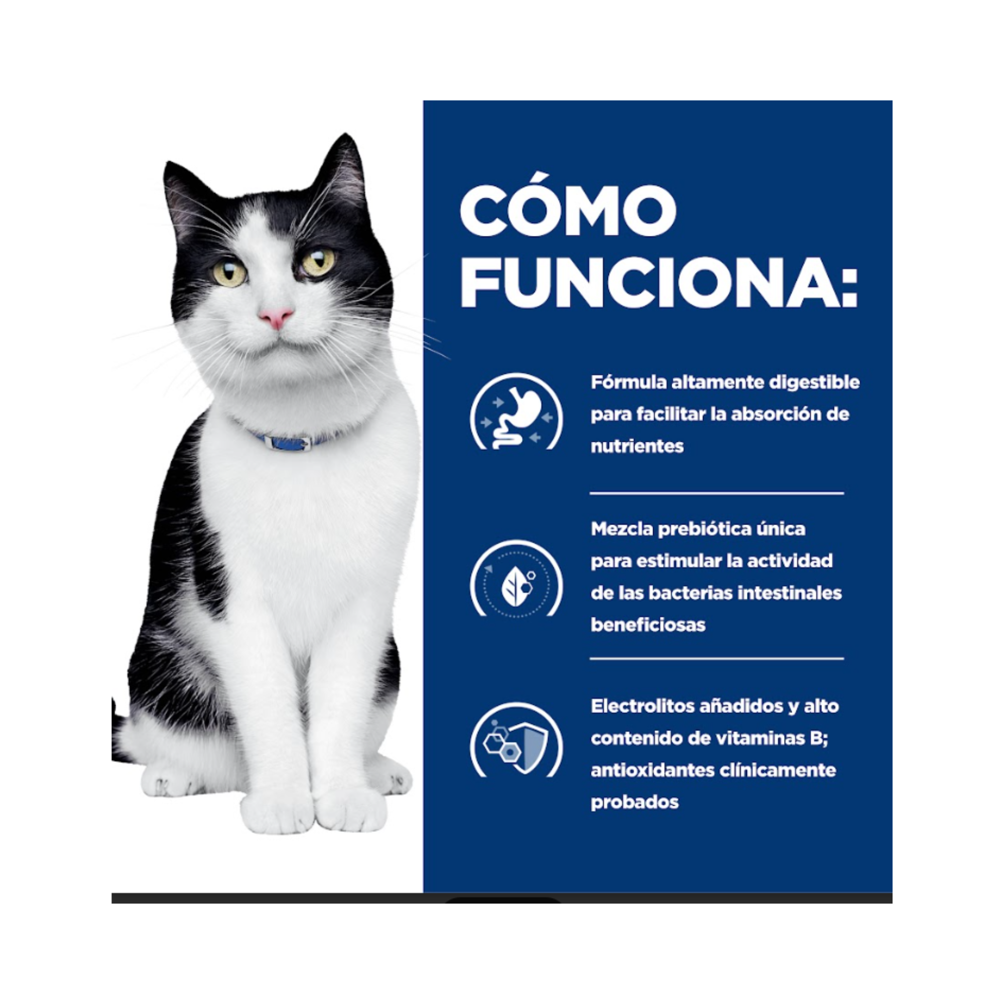 Hill's i/d gato 156 g, nutrición clínica para trastornos digestivos felinos