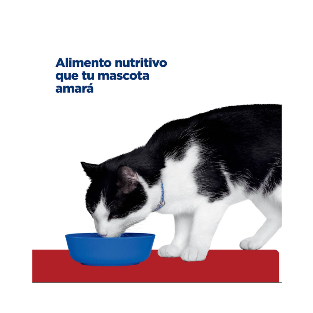 Hill's Prescription Diet i/d gato, dieta gastrointestinal para gatos con diarrea