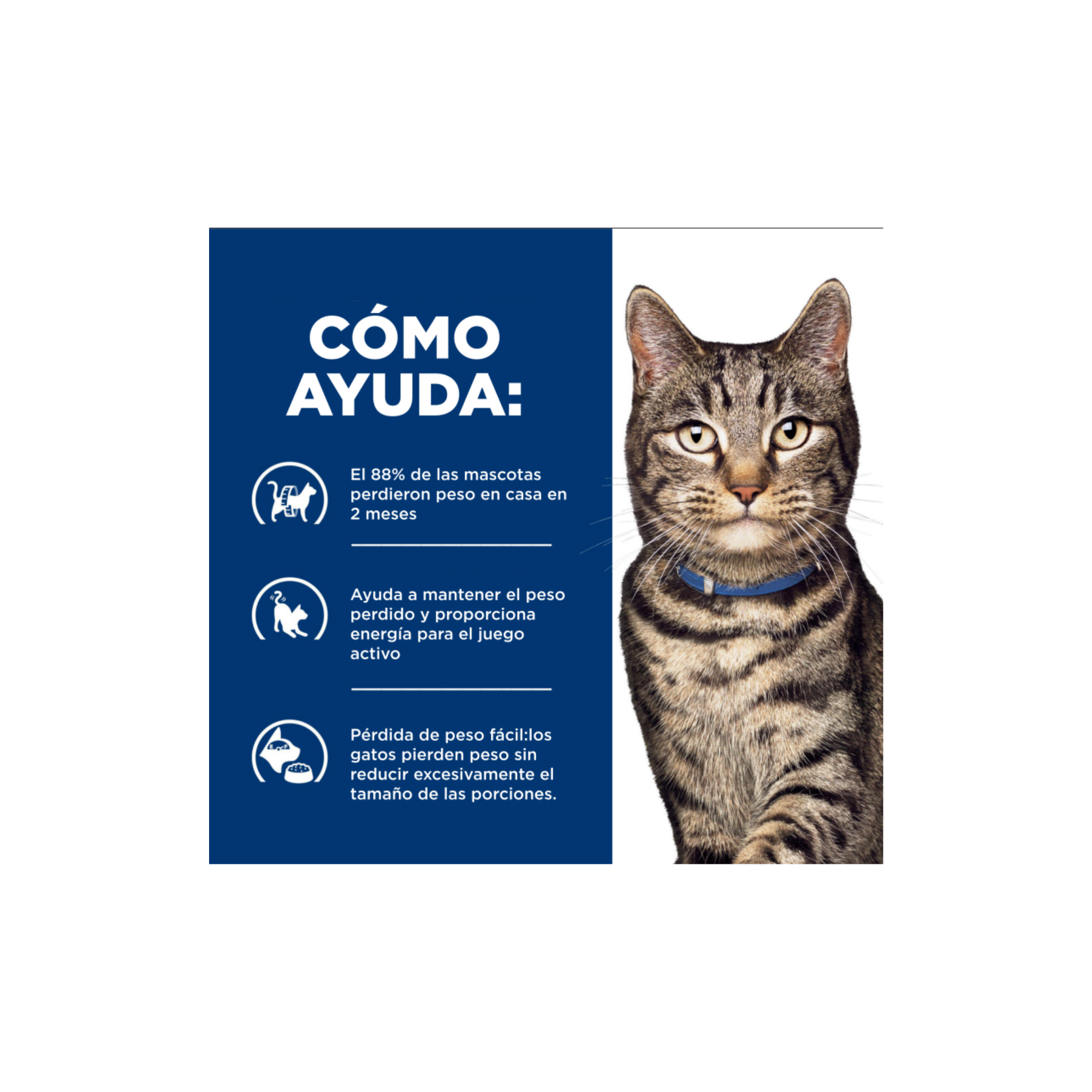 Caja con 24 latas Hill's Metabolic para gatos con sobrepeso estofado 82 g