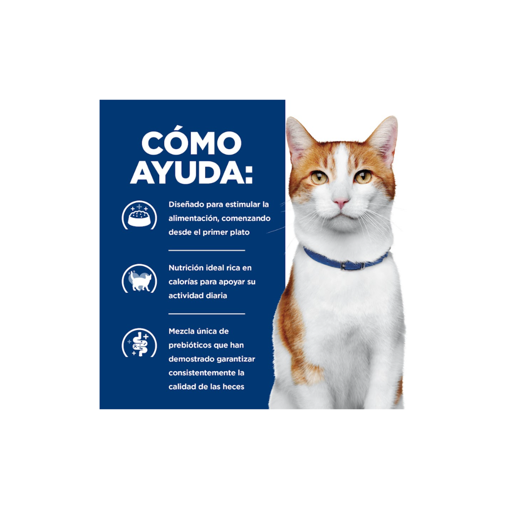 1 Lata Hill's Prescription Diet Feline ONC Care, Nutrición y Apoyo de Recuperación, para Gato, 82 g