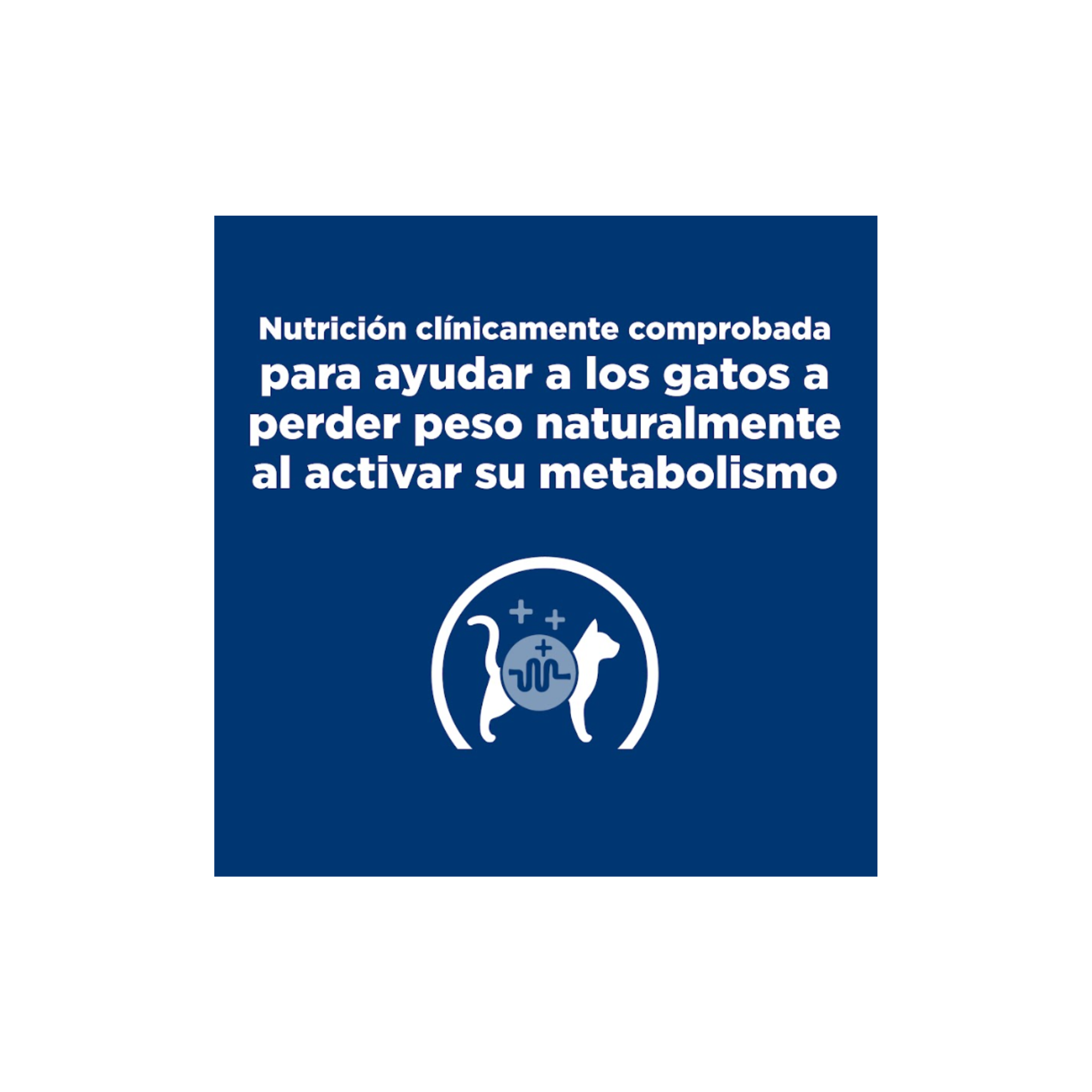 1 Lata Hills gato metabolic Prescription Diet Adultos Metabolic Vegetables and Chicken Stew Cat Food 82 g