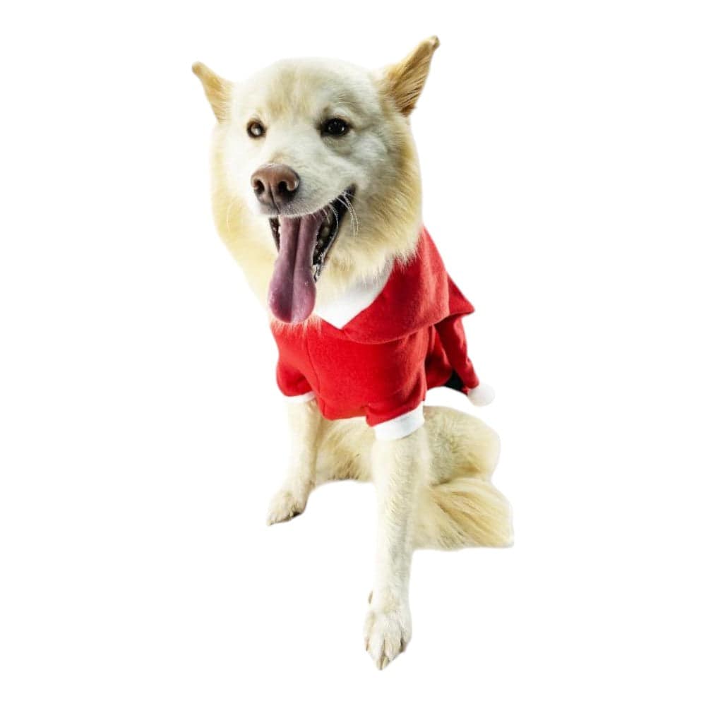 Disfraz para perros Navideño