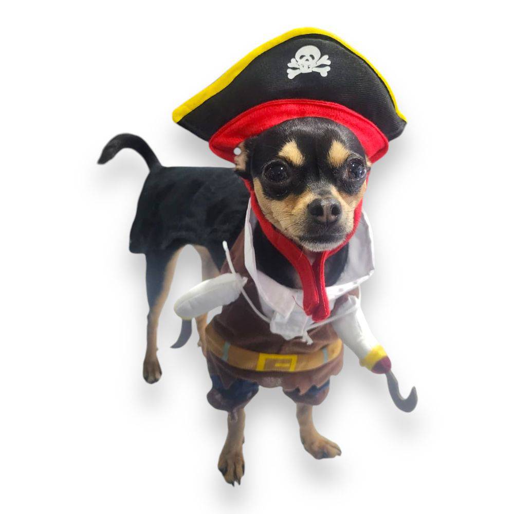 Disfraz Pirata Halloween S - AniMALL
