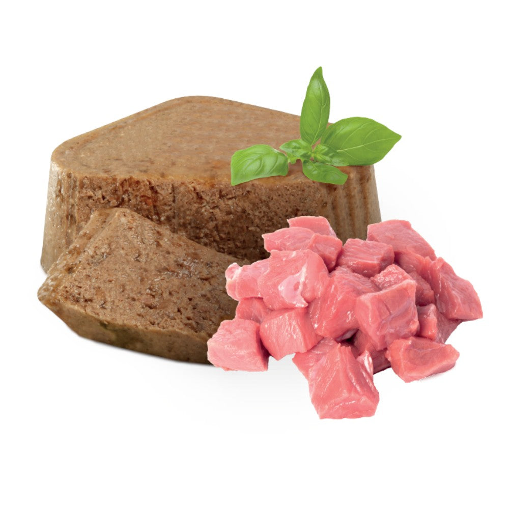 Nupec 20 Latas Alimento Húmedo para Perro Adulto 100 gr