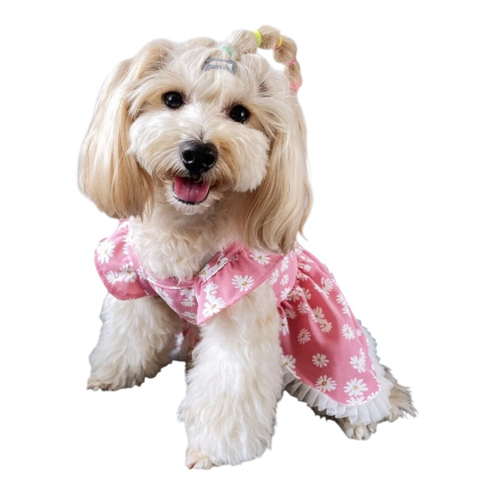 Vestidos para perritas pequeñas