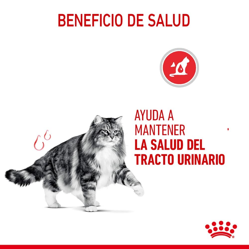 royal canin urinary lata