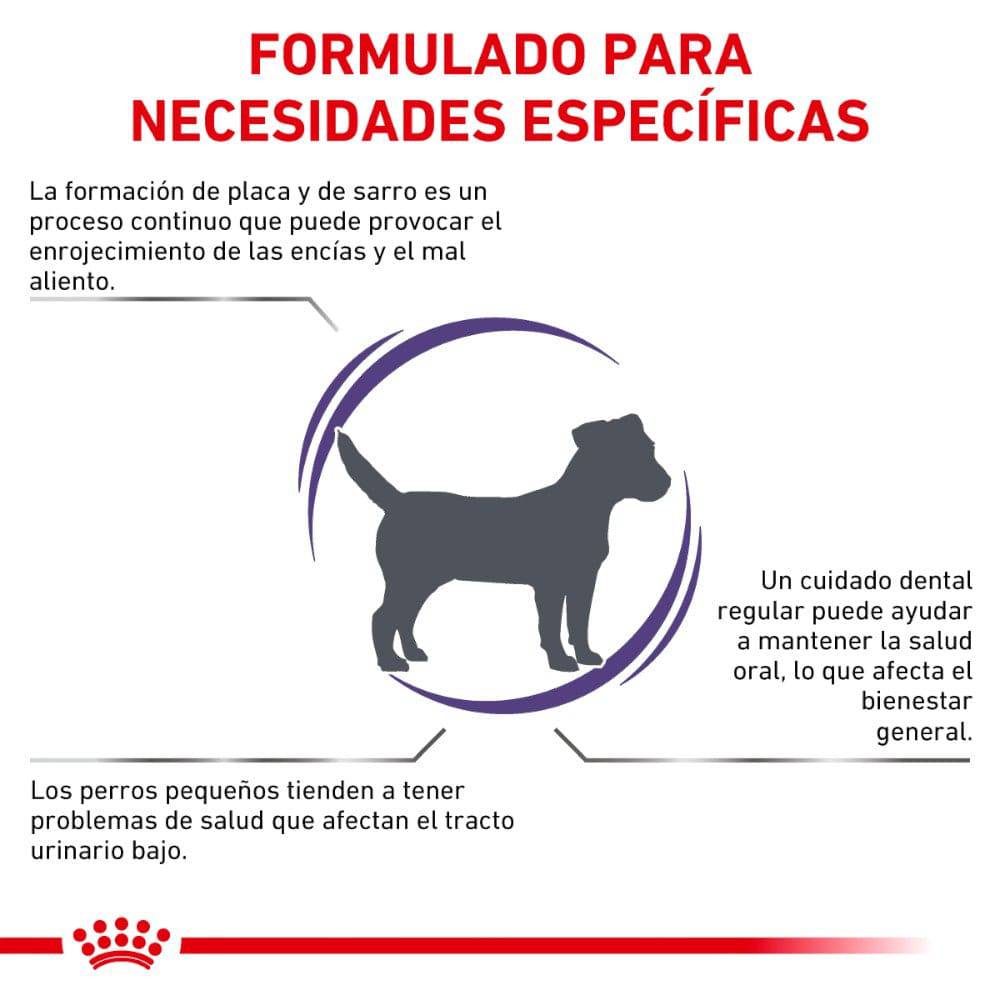 Royal Canin Vet Dental Dry Small Dog 4 kg - AniMALL