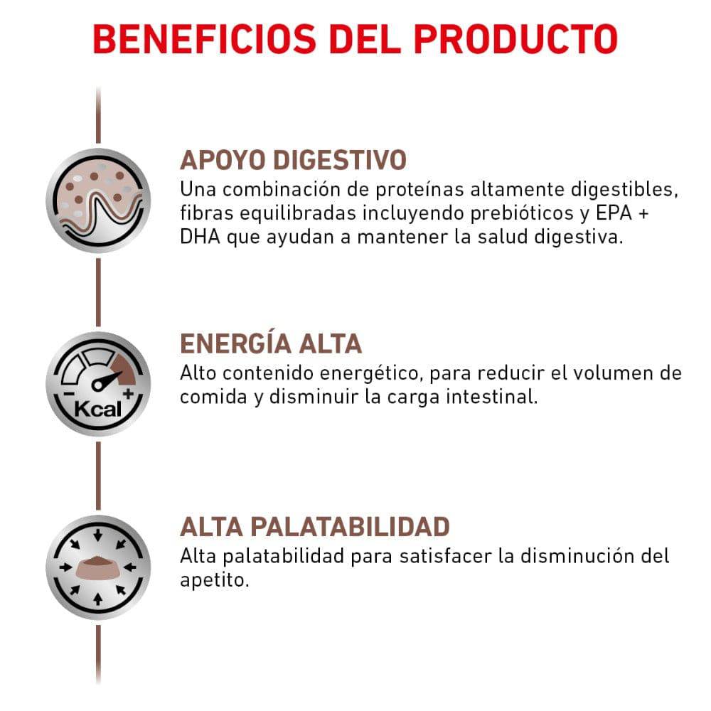 latas gastrointestinal gatos