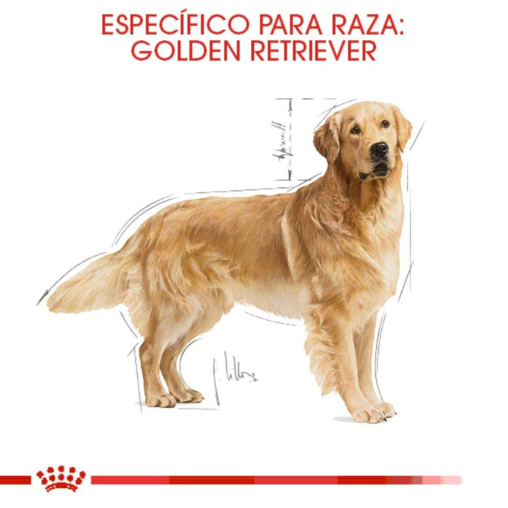 Royal Canin Golden Retriever Adulto 13.6 Kg 