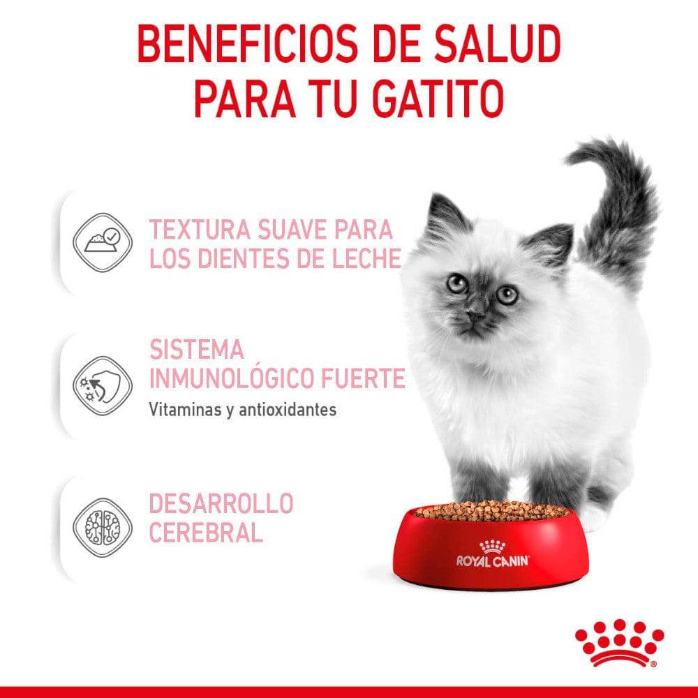 kitten royal canin