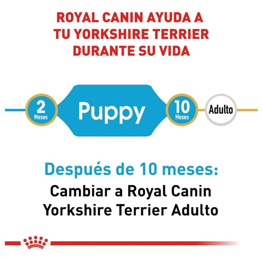 Royal Canin Alimento Seco para Perro Yorkshire Puppy 1 kg - AniMALL