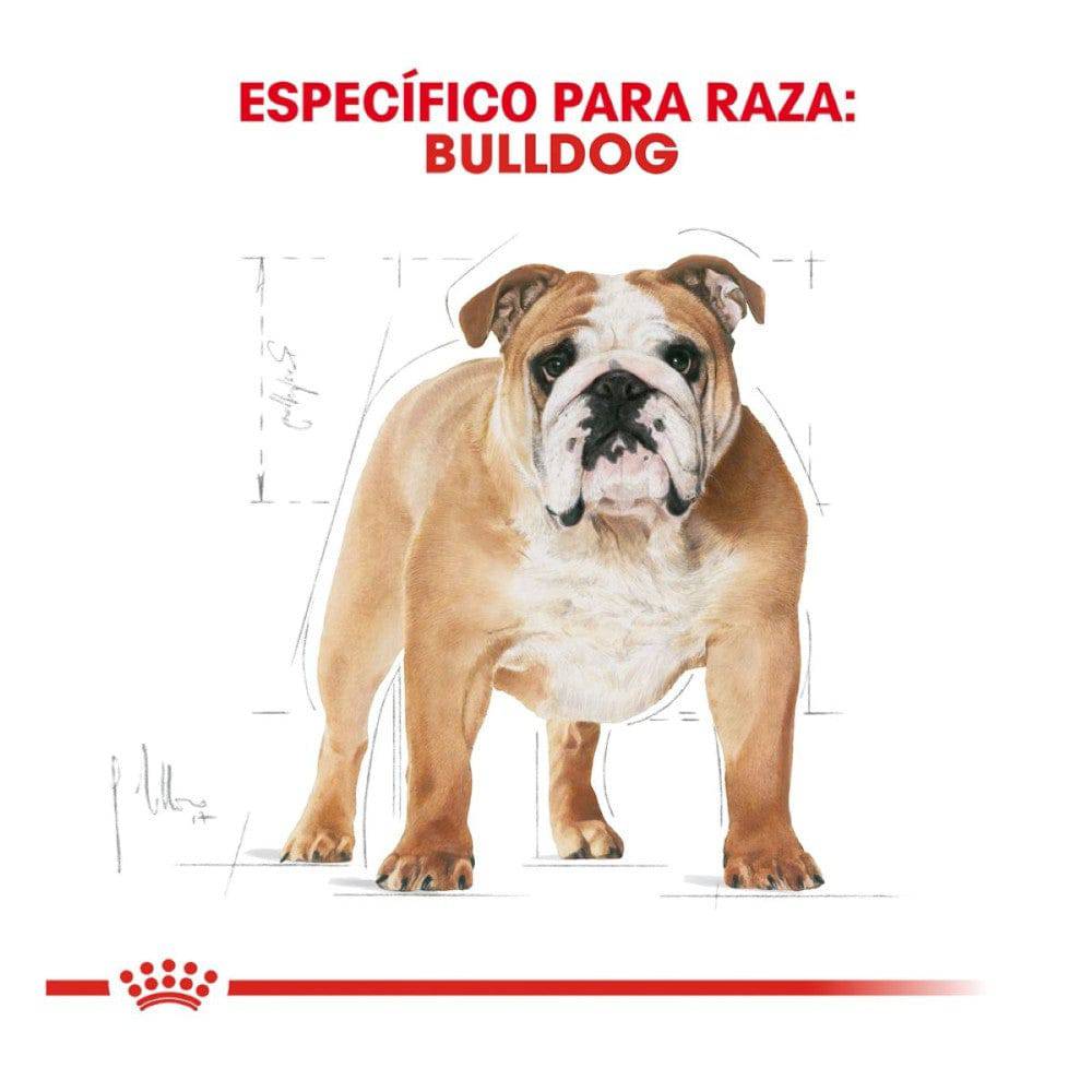 Royal Canin Bulldog