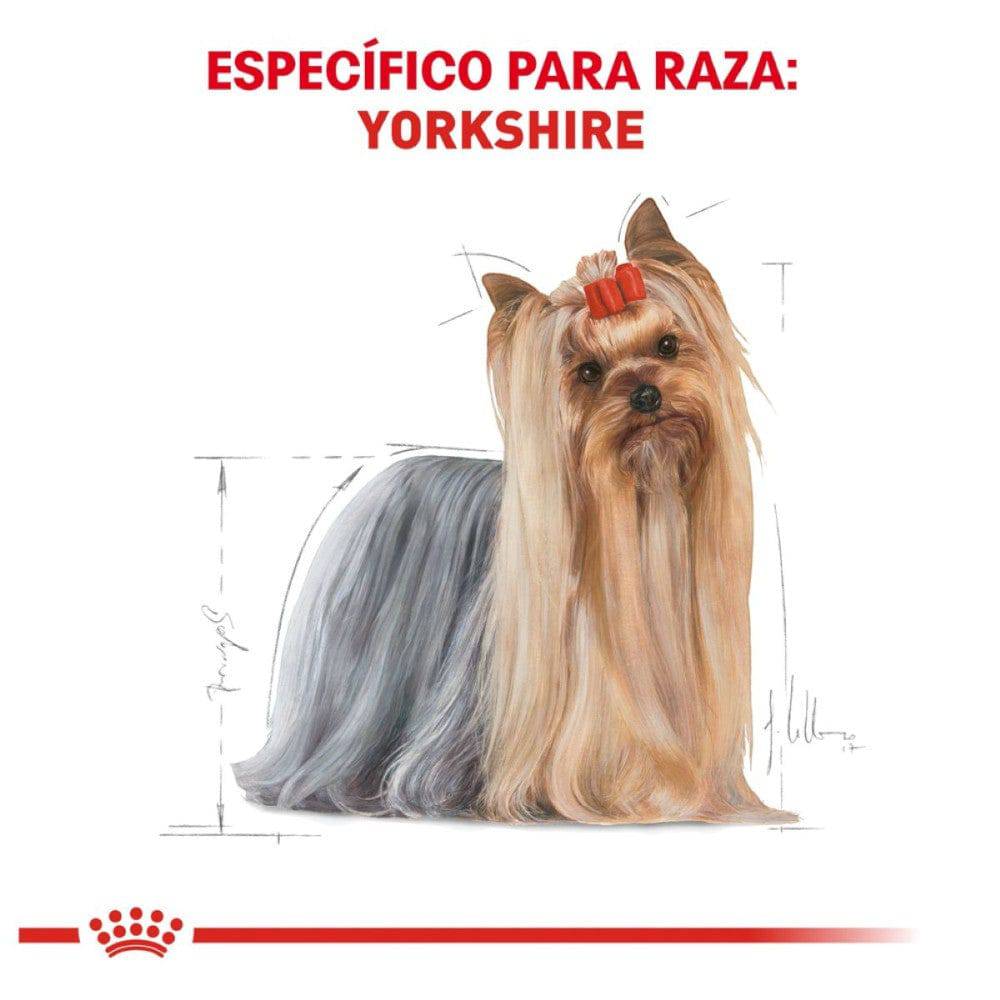 royal canin yorkshire adulto