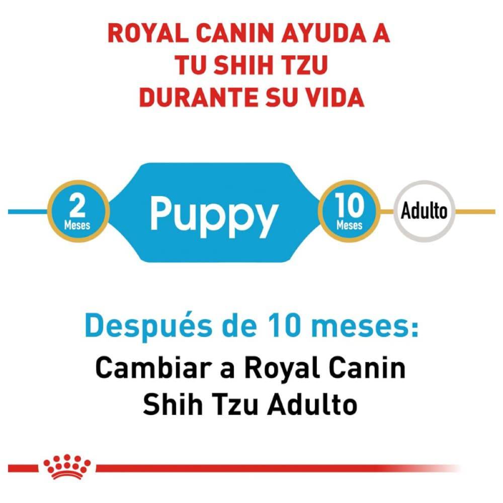 Royal Canin  Shih Tzu Cachorro