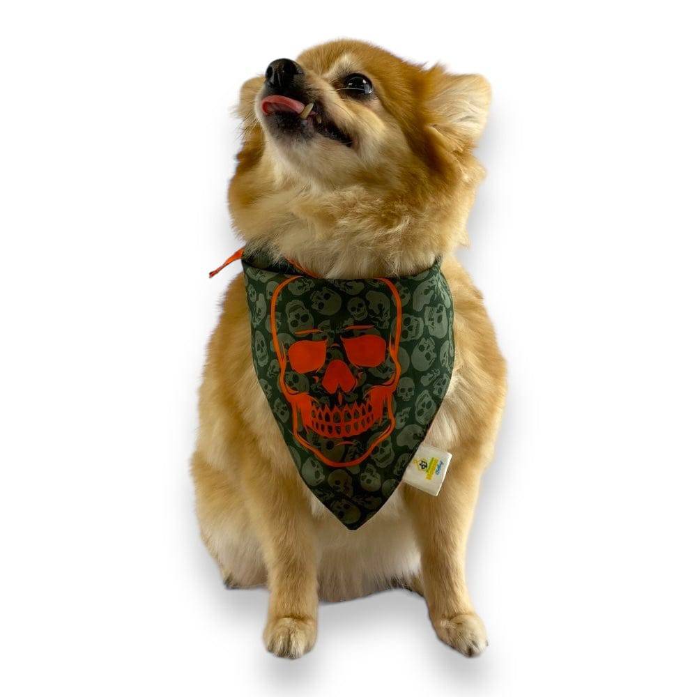 Bandana Calavera Talla L - AniMALL