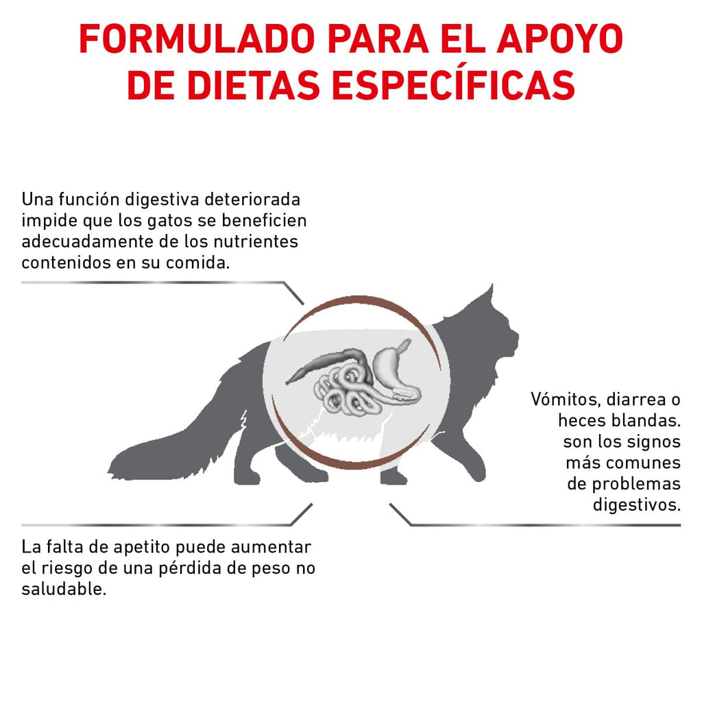 Royal Canin Vet Gastrointestinal Feline 4 Kg - AniMALL