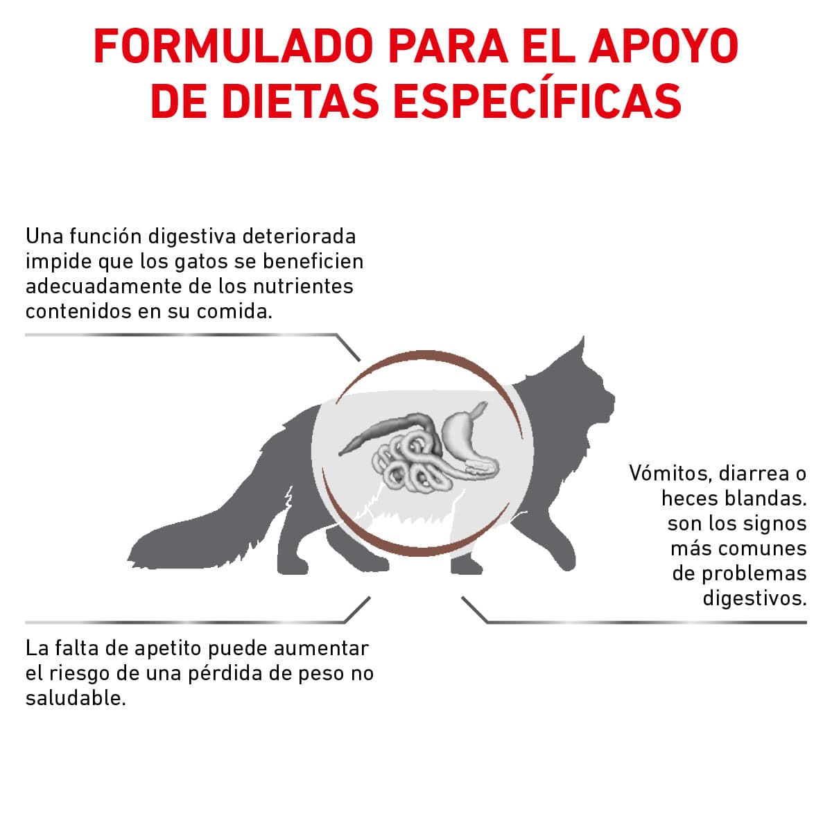 Royal Canin Vet Gastrointestinal Feline 4 Kg - AniMALL