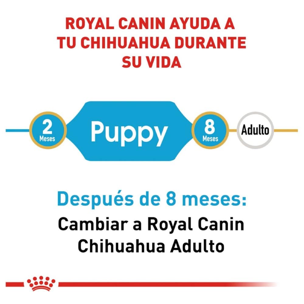 Comida para perros chihuahua