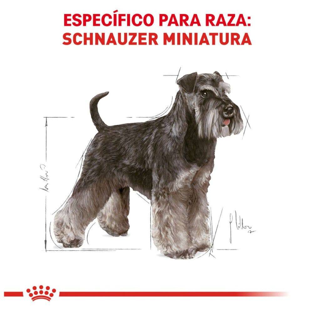 Royal Canin Perro Schnauzer Miniatura Adulto 4.5 kg - AniMALL