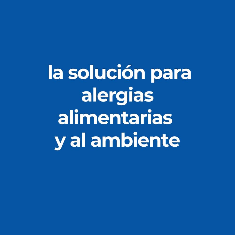 alergia piel perros