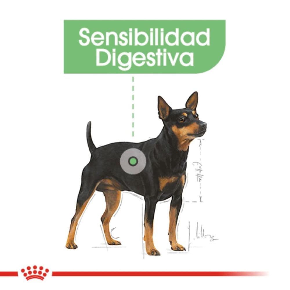 Royal Canin Canine Small Digestive Care 1.59 Kg. - AniMALL