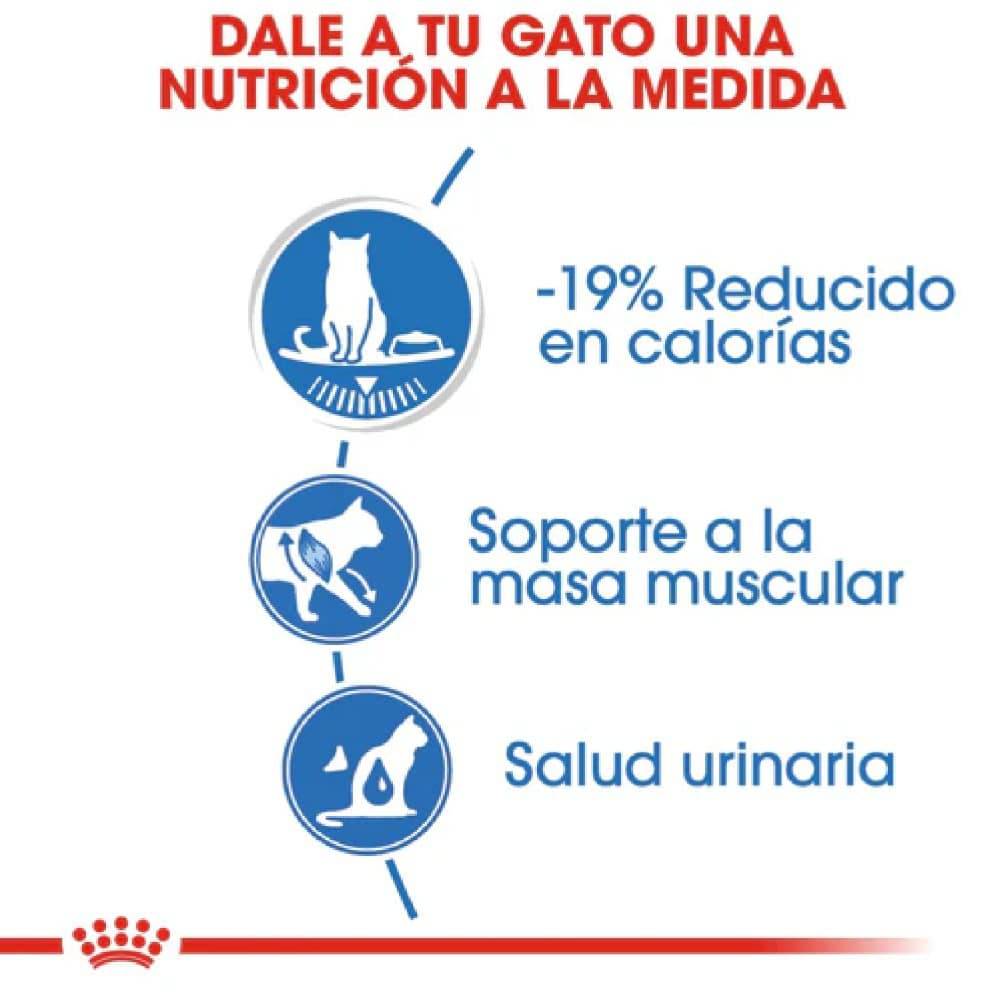 Lata Royal Canin Feline Weight Care 145 gr - AniMALL