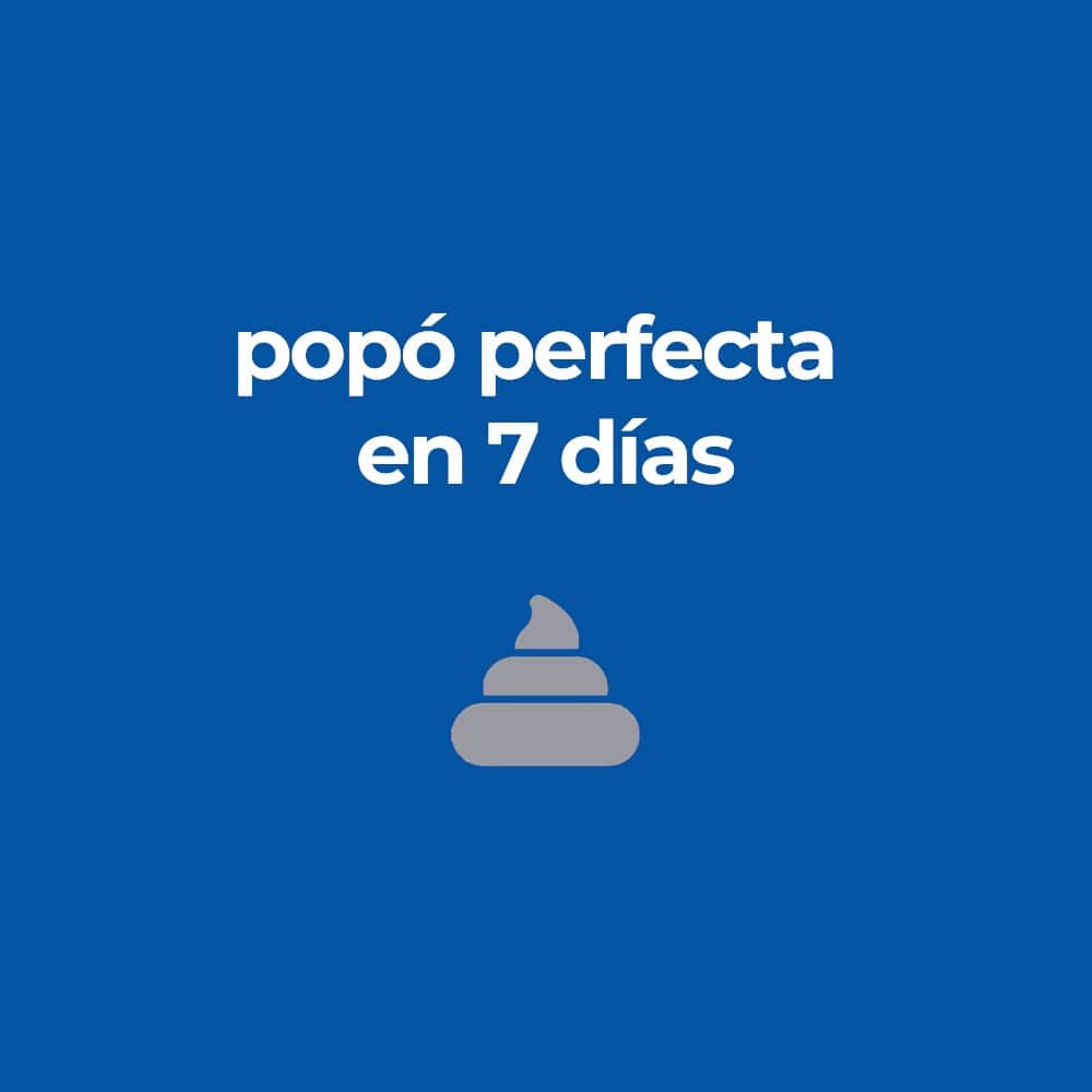 Hill's Science Diet Perfect Digestion, alimento de cuidado digestivo para perro adulto 10Kg - AniMALL