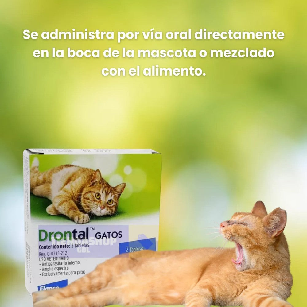 drontal desparasitante