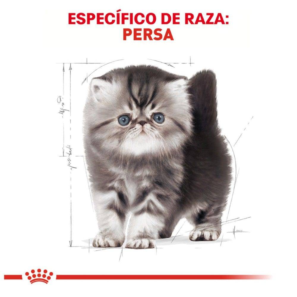 Royal Canin Persian Kitten 1.3 kg - AniMALL