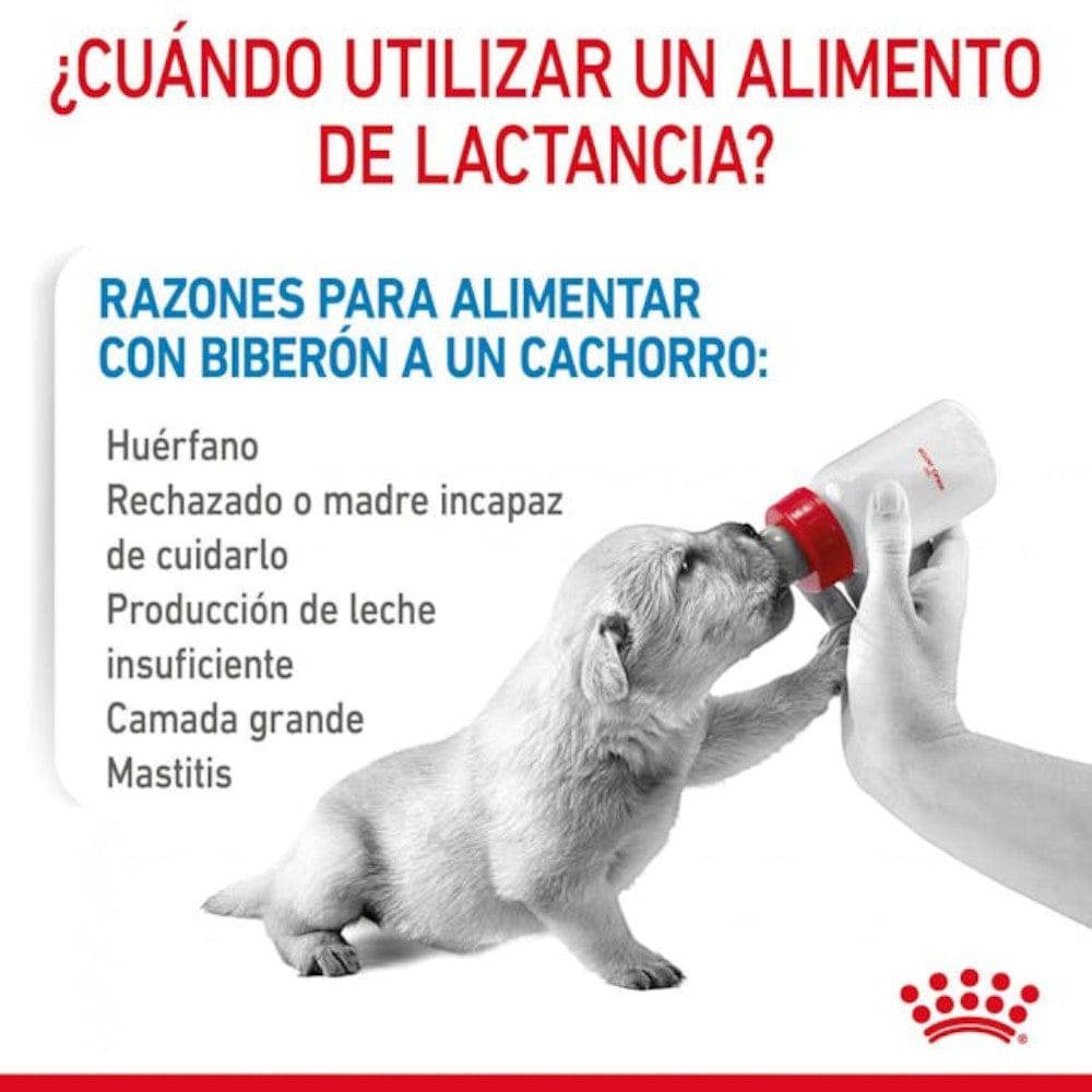 Royal Canin Baby Dog Milk 400 gr - AniMALL