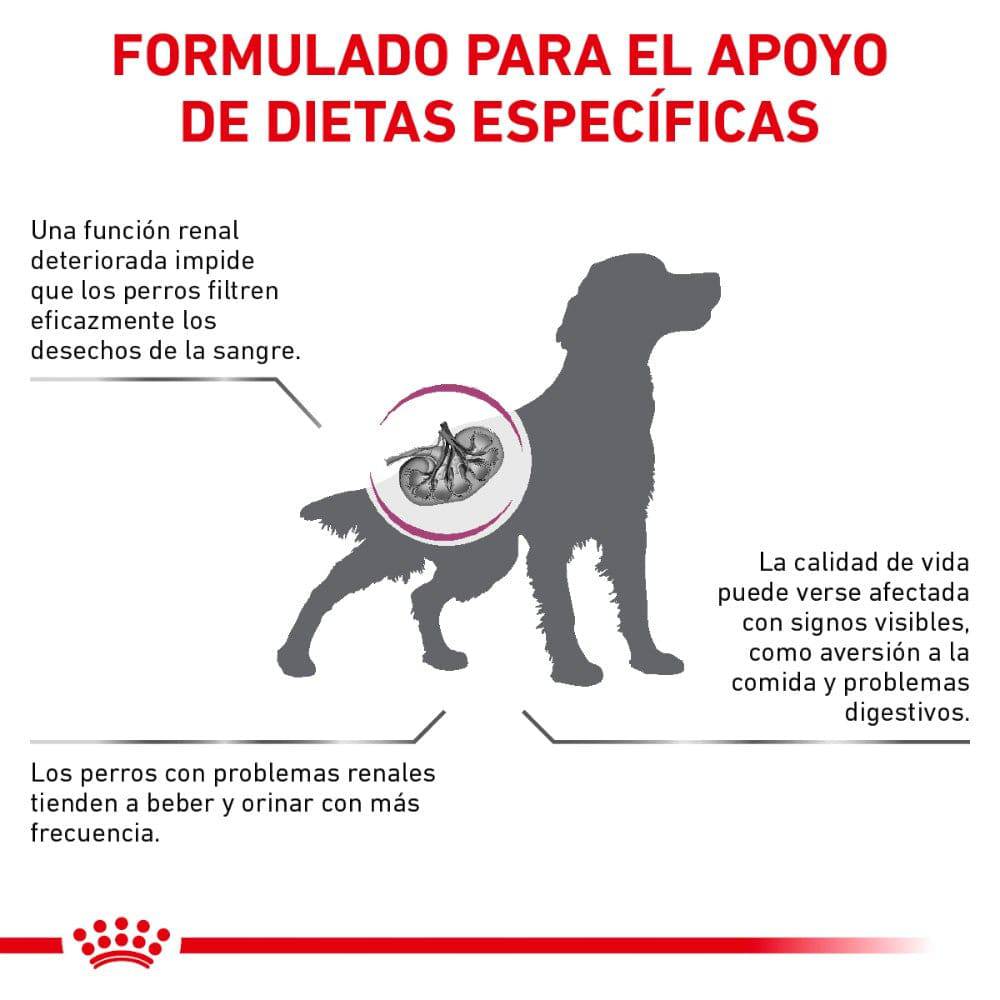 Royal Canin Vet Renal Support S Canine 8 Kg - AniMALL