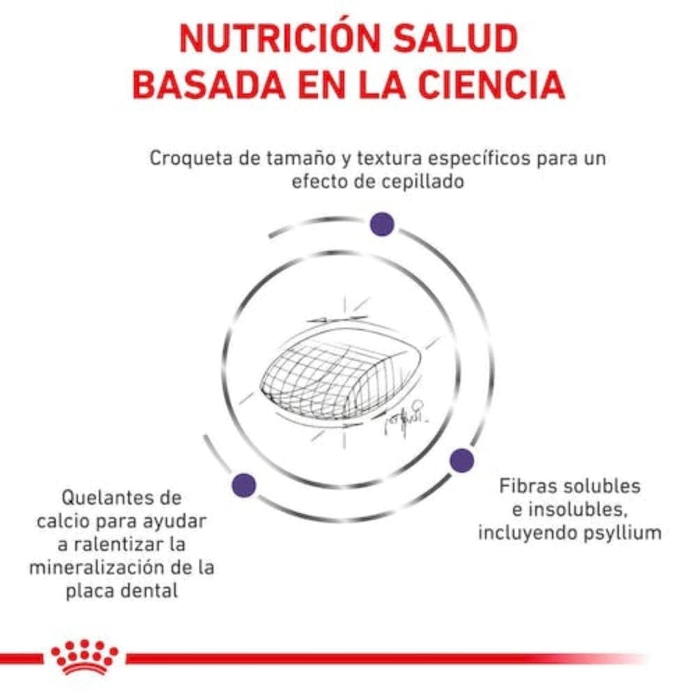 Royal Canin Vet Dental Dry Feline 8 Kg - AniMALL