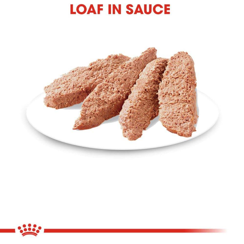Lata Royal Canin Adult Instinctive Gato Loaf in Sauce 145 gr - AniMALL