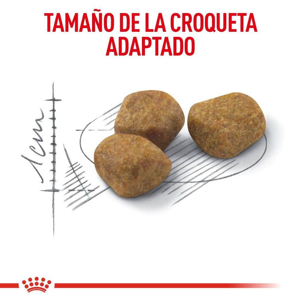 Royal Canin Alimento Seco Gato Senior Indoor 7+ 2.5 kg - AniMALL