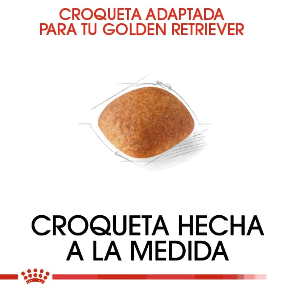 Royal Canin Golden Retriever Adulto 13.6 Kg - AniMALL