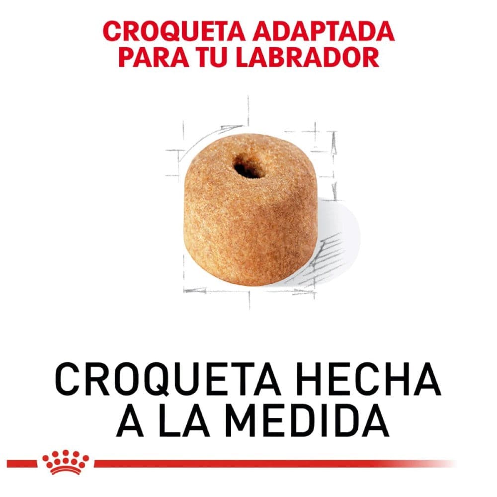 Royal Canin Perro Adulto Labrador Retriever 13.6 kg - AniMALL
