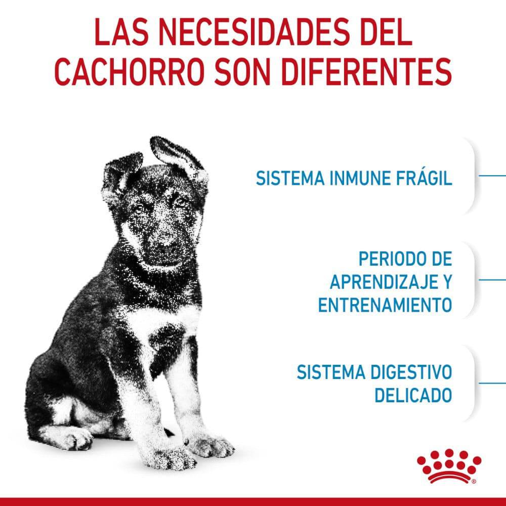 Royal Canin Puppy Large 2.7 kg - AniMALL