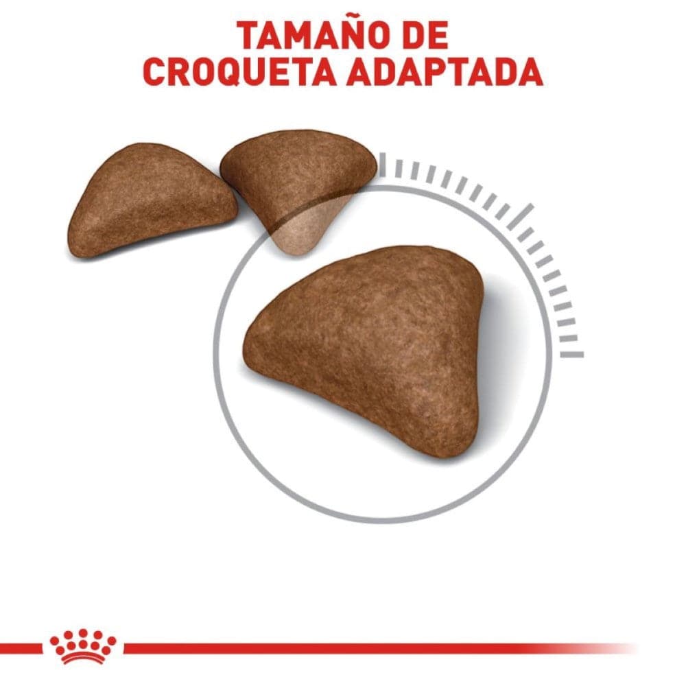 Royal Canin Alimento para Gato Adulto Hairball Care 2.7 kg - AniMALL