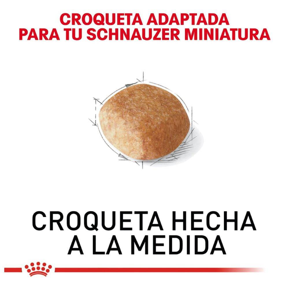 Royal Canin Perro Schnauzer Miniatura Adulto 4.5 kg - AniMALL