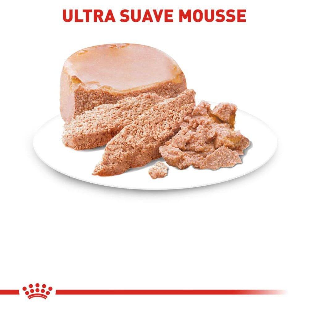 24 Latas Royal Canin Starter Mother & Babydog Mousse 145 gr - AniMALL