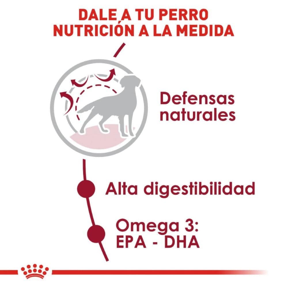 Royal Canin Medium Adult 13.6 kg - AniMALL
