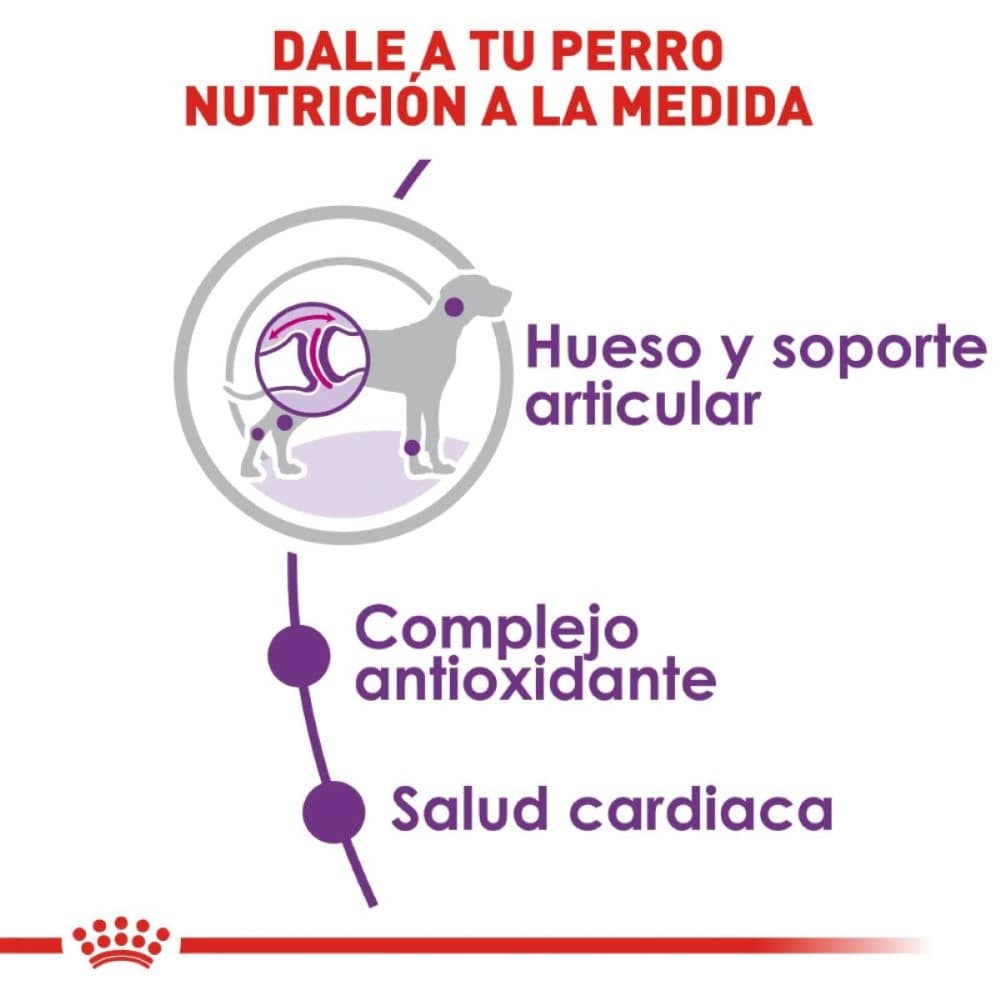 Royal Canin Perro Adulto Giant 13.6 kg - AniMALL