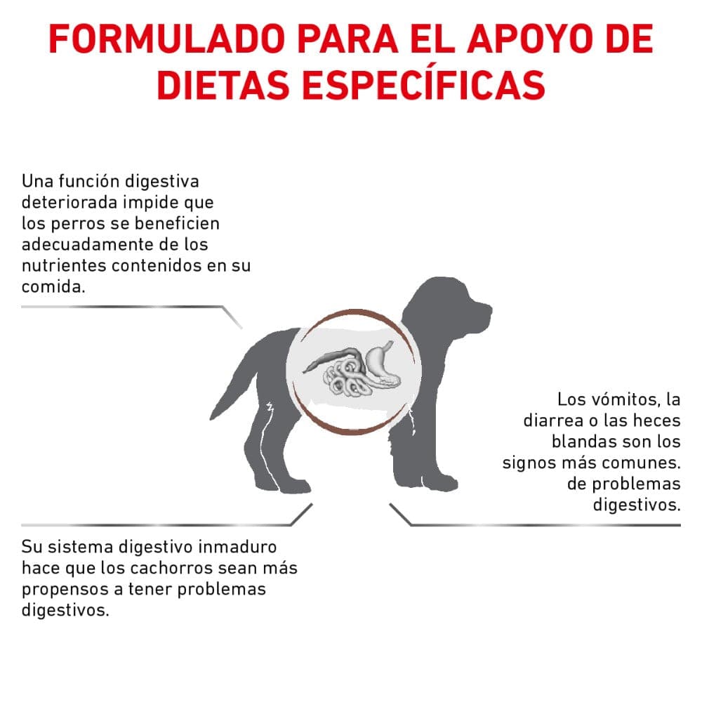 Royal Canin Vet Perro Cachorro Gastrointestinal 4 kg - AniMALL