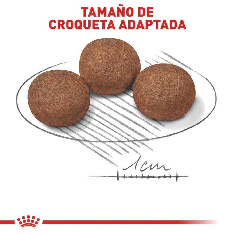 Royal Canin Alimento Medium Puppy 7.72 kg - AniMALL