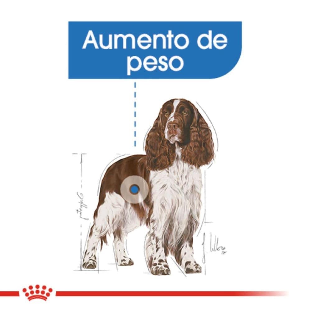 Royal Canin Canine Medium Weight Care 13.61 kg - AniMALL